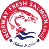 Norway Fresh Salmon