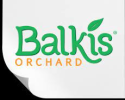 Balkis